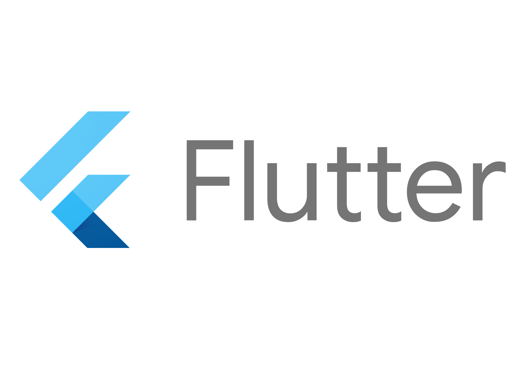 flutter dart flutter dart